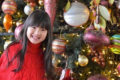 サンタクロースはどうやって子どもたちの情報を集め、どうやって配っている？小学２年の娘の一問一答。