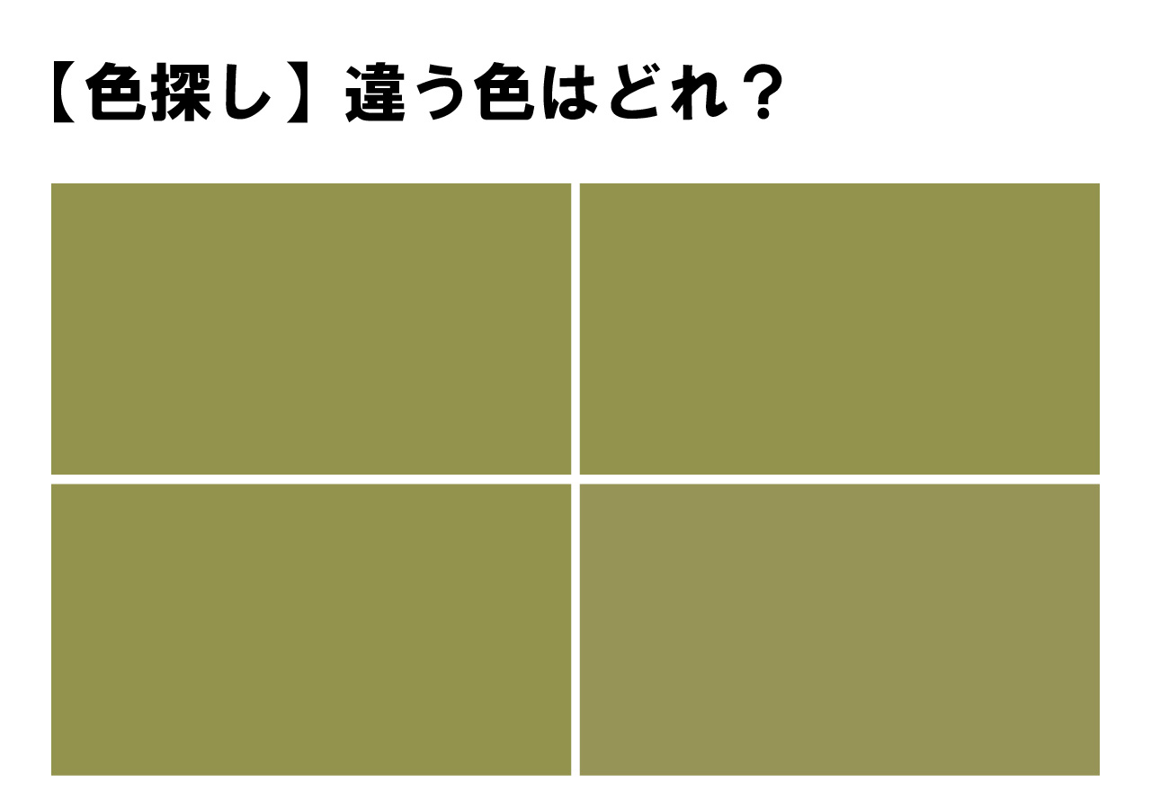 【高難易度クイズ！】落ち着いたトーンの中に１色だけ違う色が隠れてます！あなたは・・すぐに見つけられましたか？