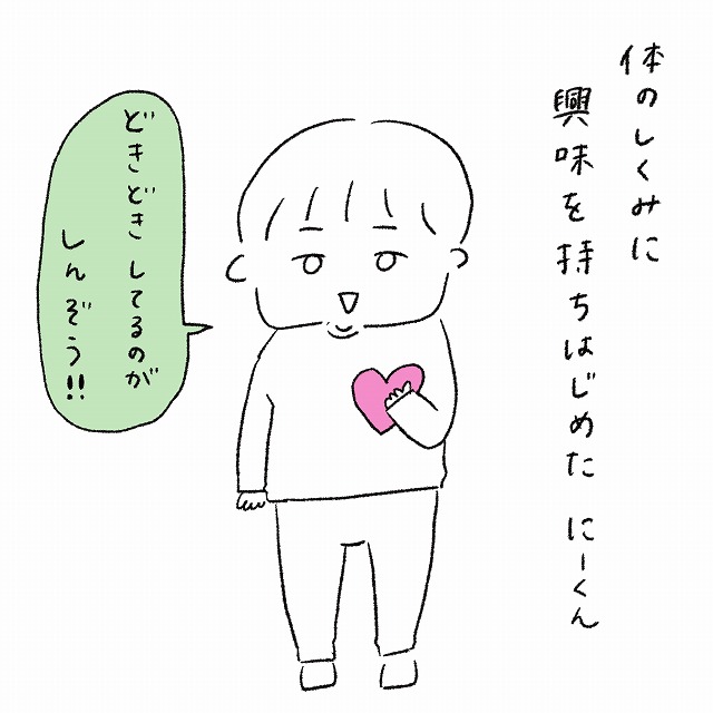 もしかしておなかの中にお花畑が！？からだのしくみに興味津々な４歳息子｜みすけの育児ダイヤリー